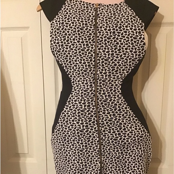 NWT Two Toned Full length back Zipper - Picture 3 of 10